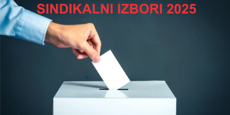 Teritorijalni sindikalni izbori sprovedeni su i u Apatinu, Aleksandrovcu, Loznici i Bečeju